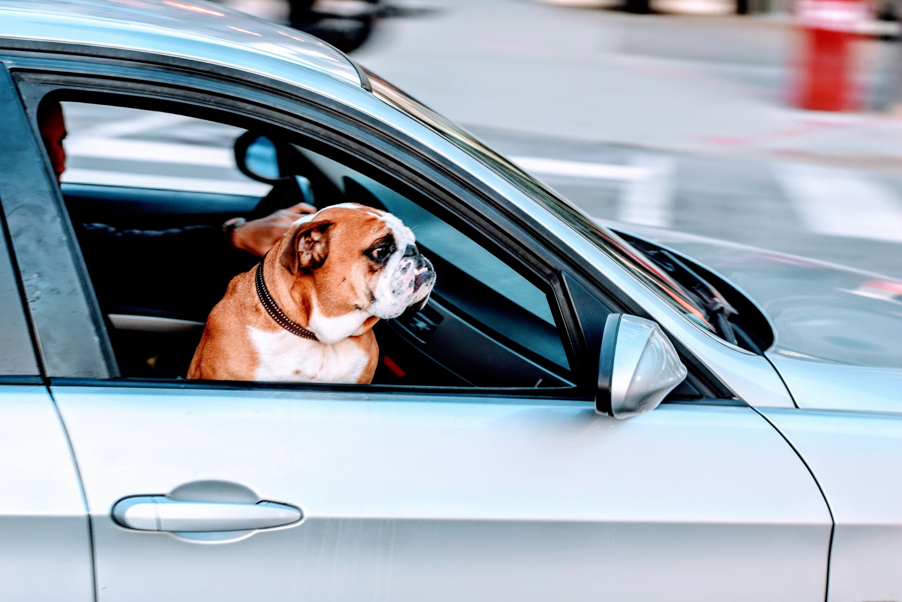 Diferencias clave entre renting de coches y leasing de vehículos