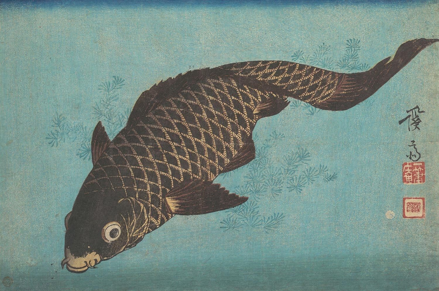 Alternativas al auto propio: Renting como opción viable y práctica